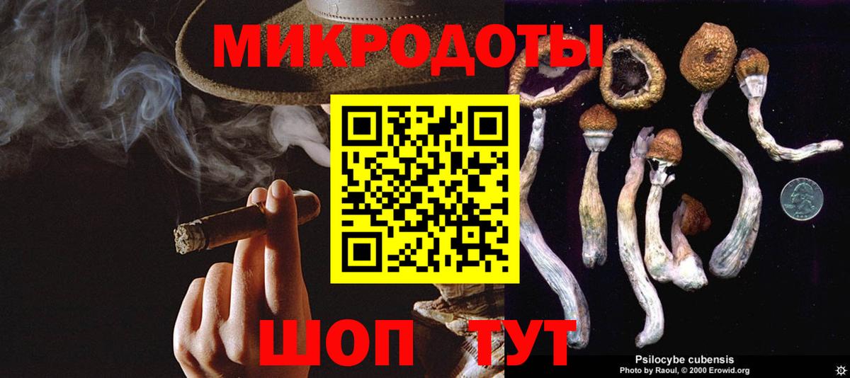 Галлюциногенные грибы GOLDEN TEACHER Краснодар