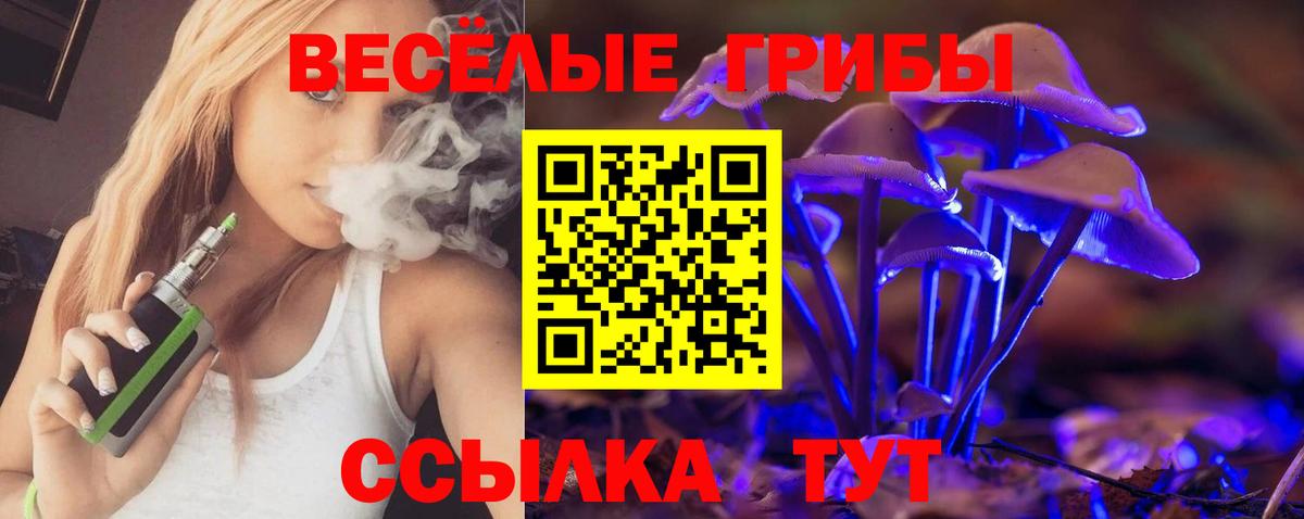 Краснодар  Псилоцибиновые грибы Cubensis  Вход с VPN 